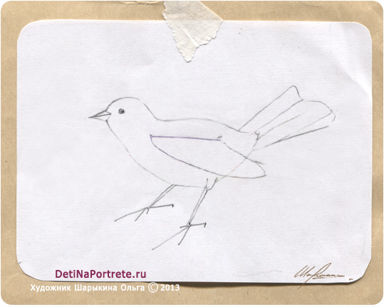 +как нарисовать птицу, +как нарисовать птицу карандашом поэтапно, этапы рисования птиц, красивые птицы, необычные птицы