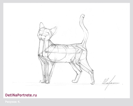 Рисунок кошки, реалистичный рисунок карандашом, как нарисовать карандашом  кошку
