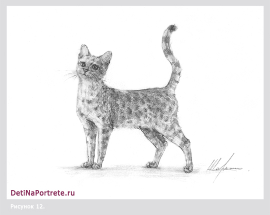 Рисунок кошки, реалистичный рисунок карандашом, как нарисовать карандашом  кошку